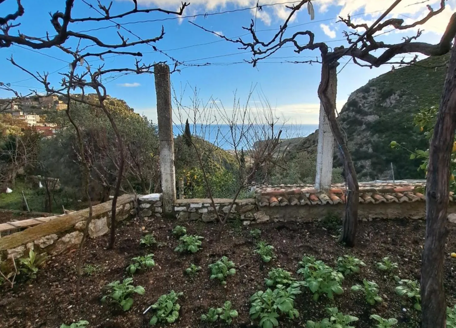 The Grandfather'S Room Himare Country house